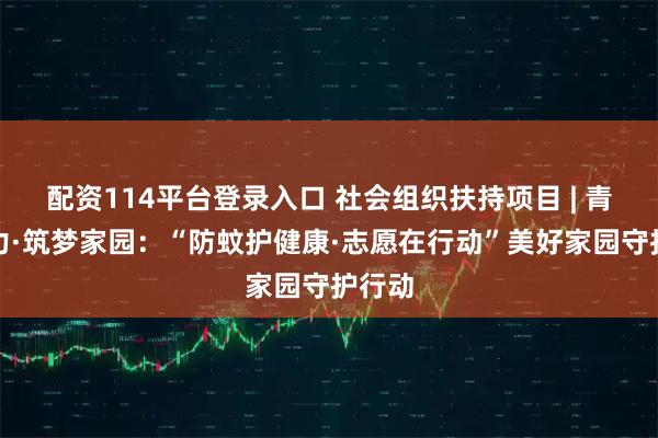 配资114平台登录入口 社会组织扶持项目 | 青春聚力·筑梦家园：“防蚊护健康·志愿在行动”美好家园守护行动